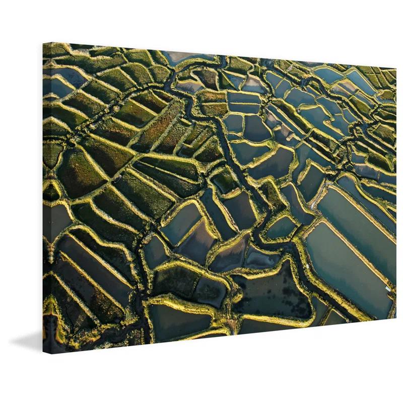 Marmont Hill " Waterways " by Karolis Janulis