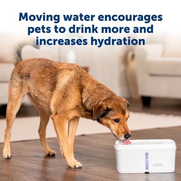 PetSafe PetSafe Viva Pet Fountain, Plastic Tray