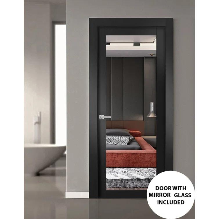 SARTODOORS Lucia Mirrored Glass Standard Black Door Slab