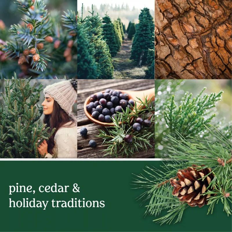 ToccoLeggero Signature Balsam & Cedar Scented Candle