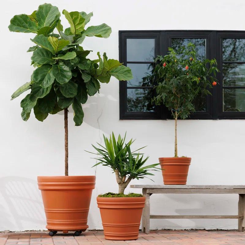 Bloem Rolled Rim Resin Indoor/Outdoor Planter Pot