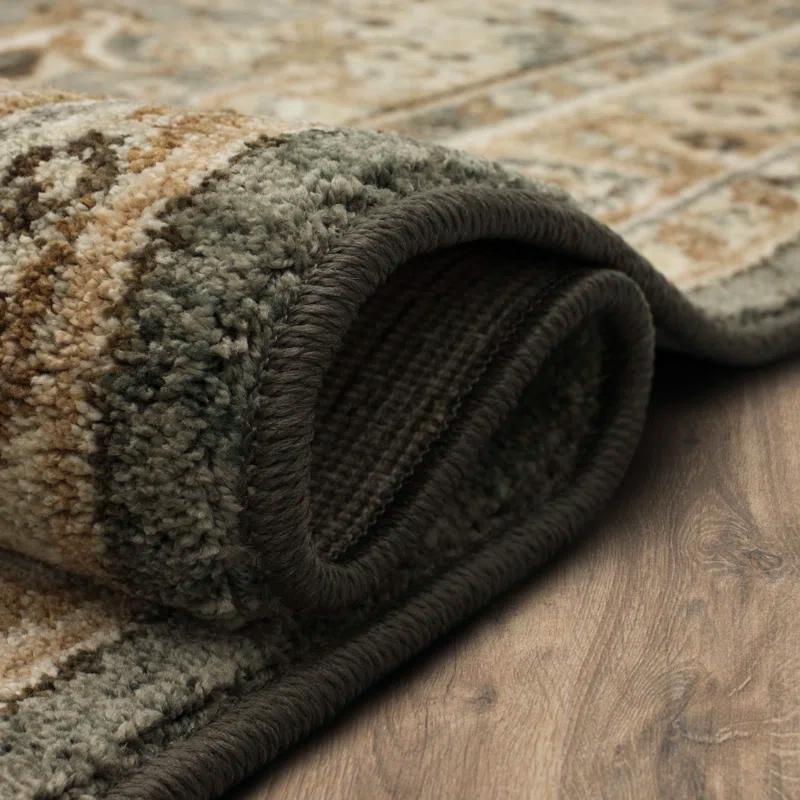 Karastan Euphoria Gray Traditional Ornamental Area Rug