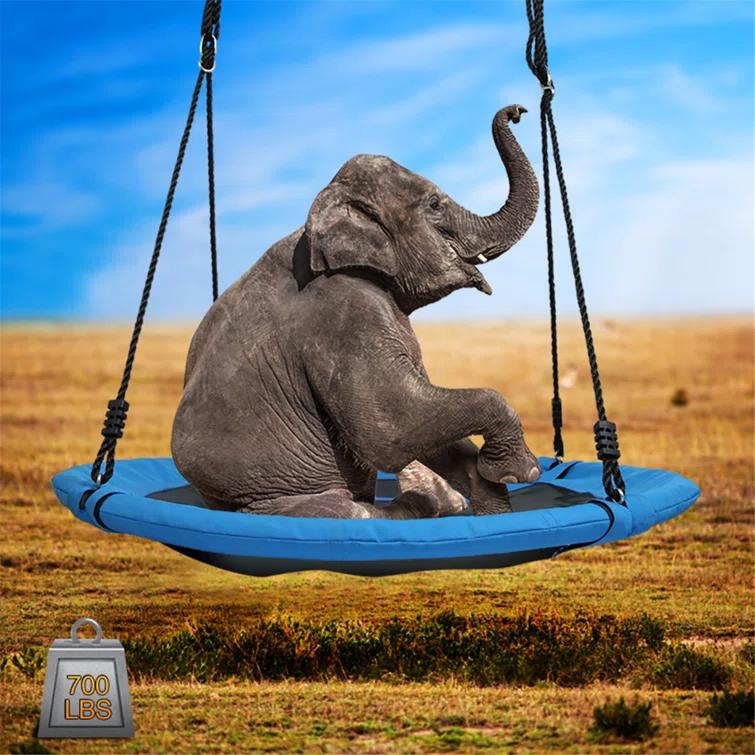 Klo Kick 40inch Metal/Fabric Web/Saucer Swing with Chains and Hooks