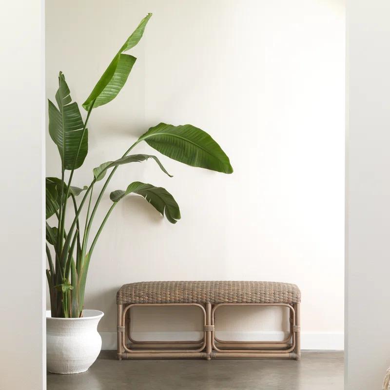 Jamie Young Company Avery Wicker Bench | Wayfair