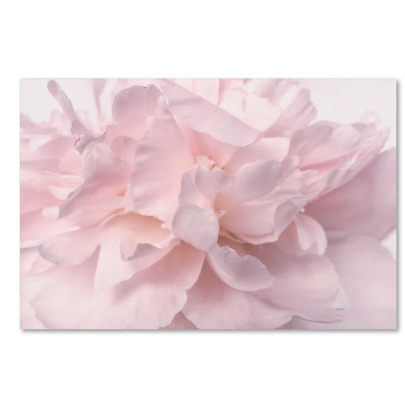 House of Hampton® " Pink Peony Petals II " by Cora Niele