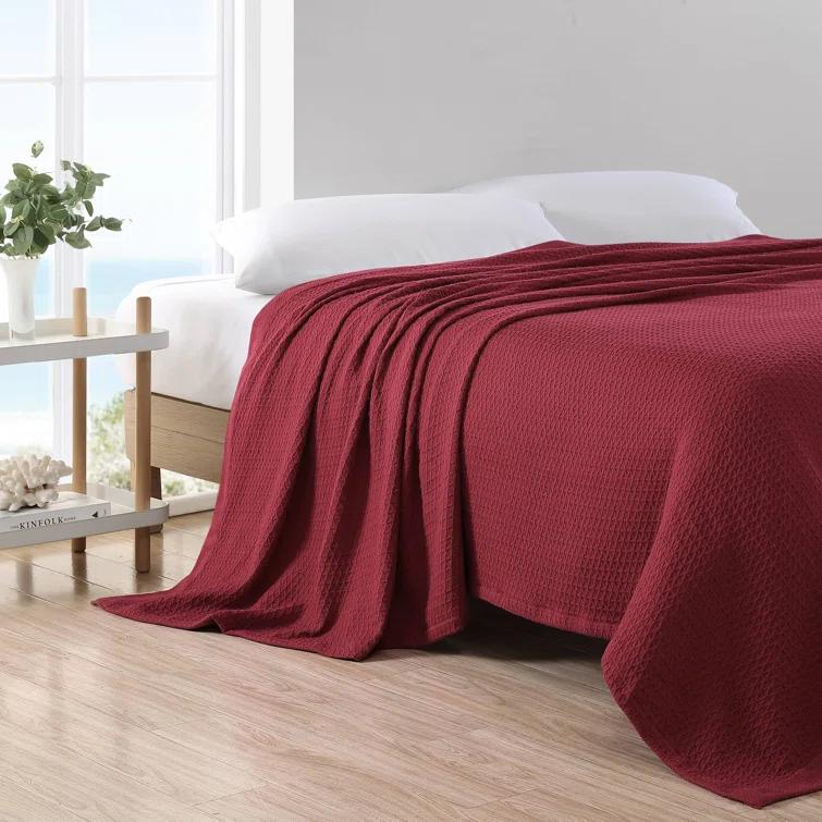 Nautica Nautica Baird Solid Cotton Reversible Blanket
