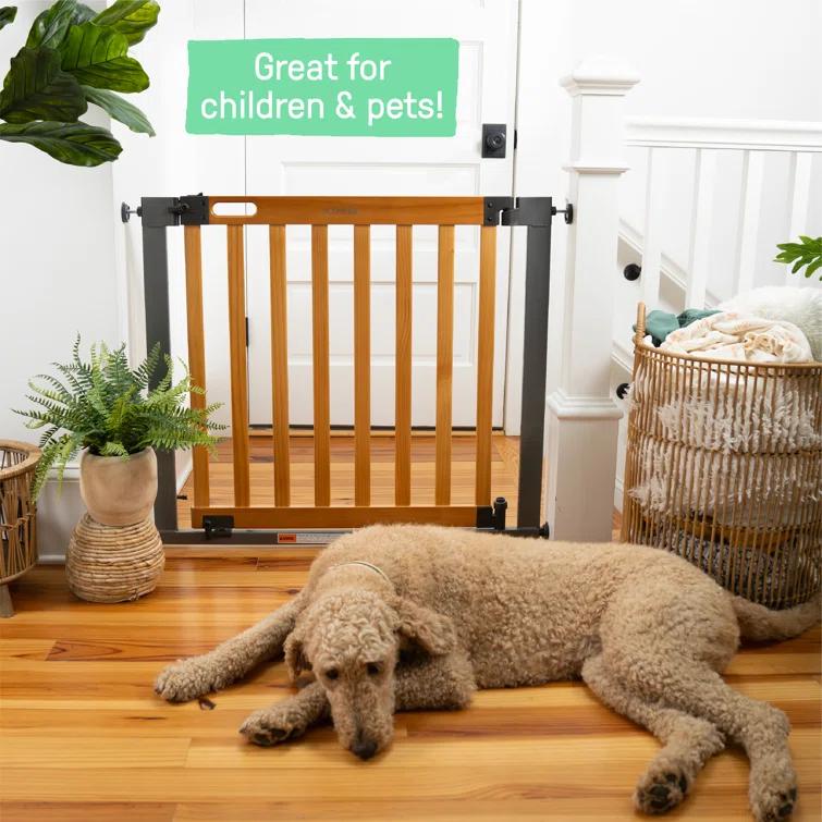 Ingenuity The Thruway 60XW Series Extra Wide Safety Pet and Baby Gate, 36"-60" Wide - Honey Oak