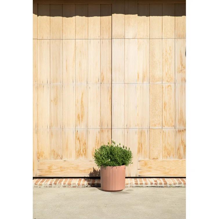 Veradek Demi Series Round Planter & Reviews | AllModern