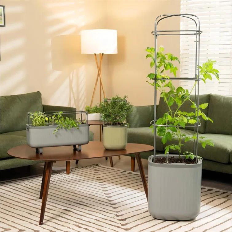 Vego Garden Mini Tomato Plastic Outdoor Pot Planter with Trellis