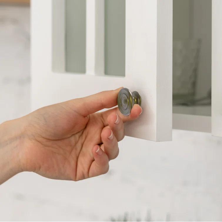 Darby Home Co Gober 1" Diameter Mushroom Knob