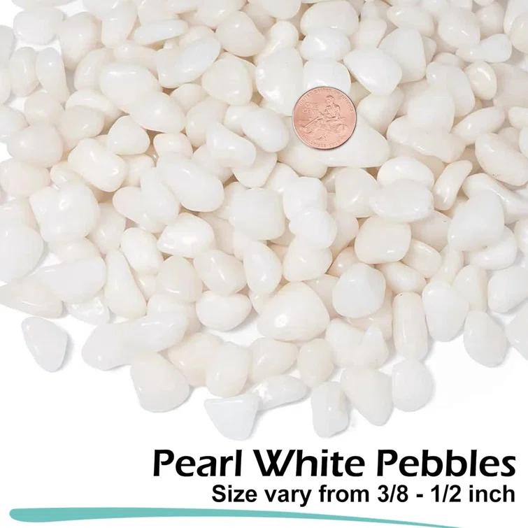GASPRO 5lb Small White Decorative Rocks for Plants, Vases, Succulent, 3/8" Pebbles, High Polished