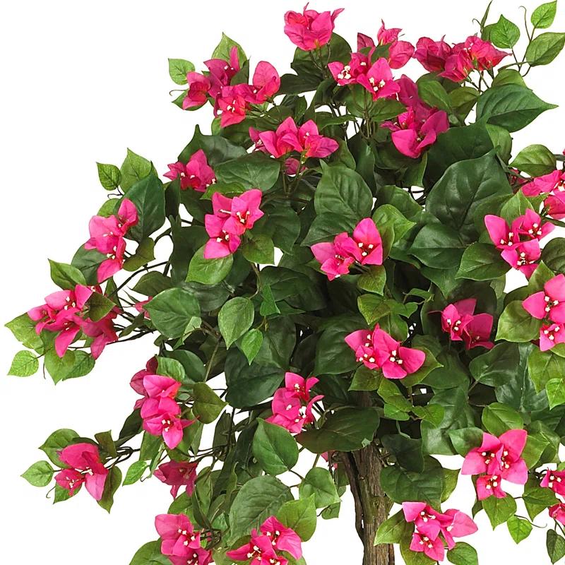 Primrue 5ft. Mini Bougainvillea Topiary
