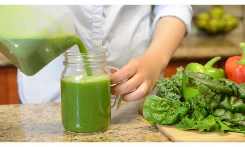 Tribest Tribest Solostar® Electric Slow Masticating & Cold Press Juicer