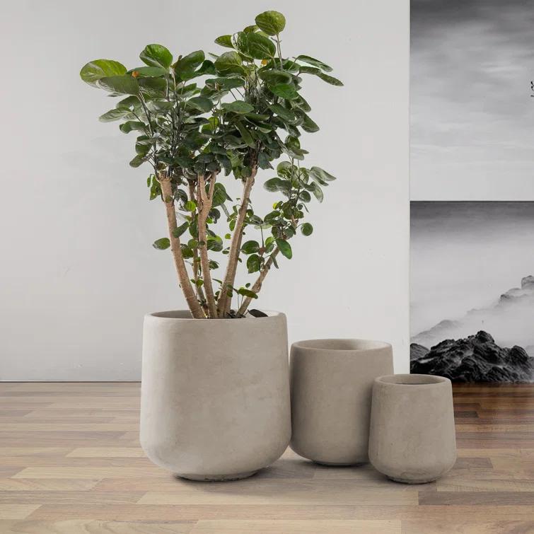 Kante Kante Round Concrete Planters, Outdoor Indoor Pots Containers with Drainage Holes Set
