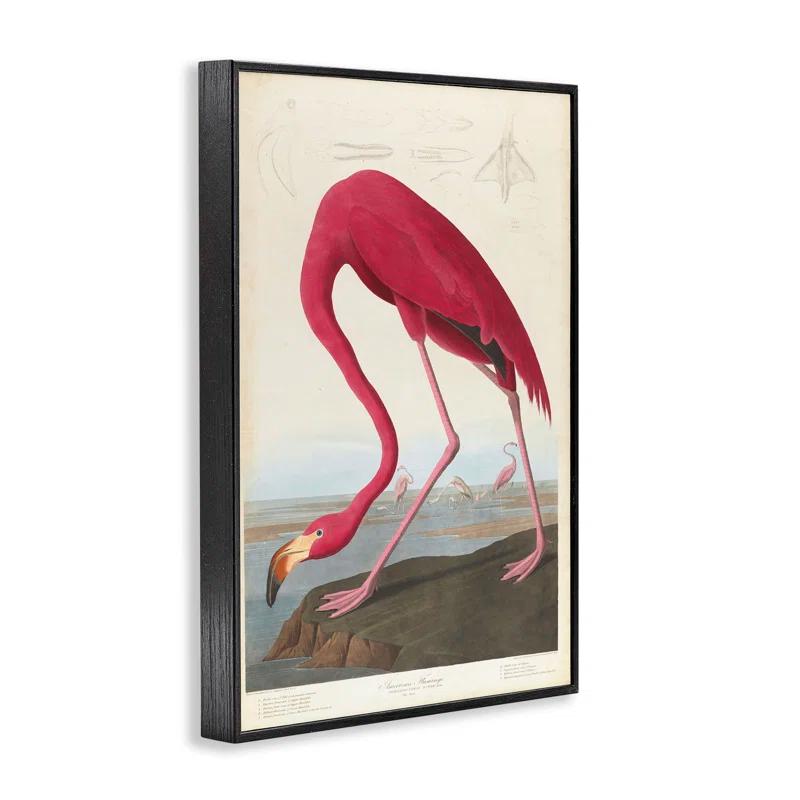 Stupell Industries Classic American Flamingo Framed Giclee Art by one1000paintings