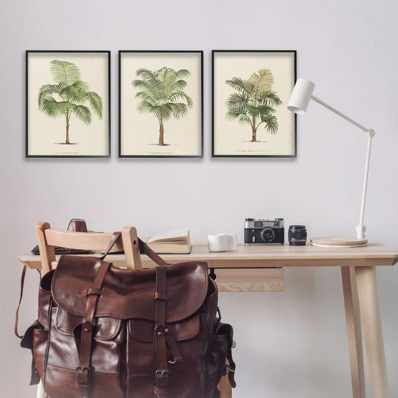 Stupell Industries Les Palmiers Botanical Trio 3 Piece Giclee Art Set by World Art Group