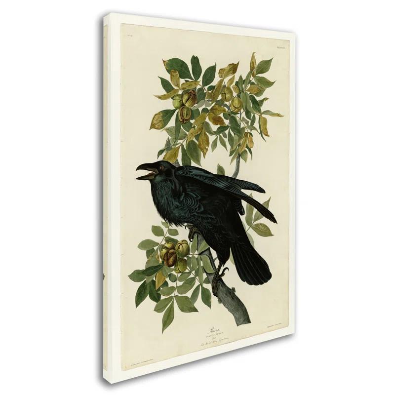 Vault W Artwork " Ravenplate 101 " by John Audubon