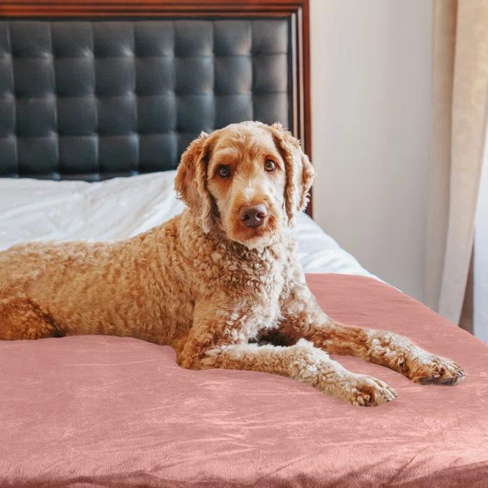 Petmaker PETMAKER 60x70in, 60x80in, 80x100in Water-Resistant Dog Blanket