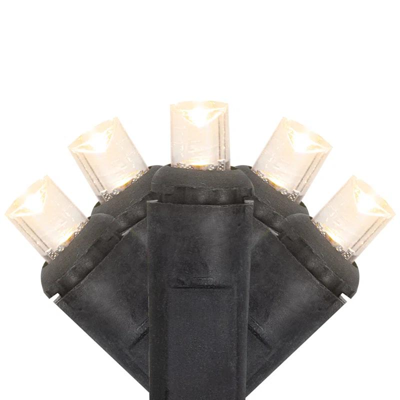 Northlight Seasonal 50ct Warm White LED Wide Angle Christmas Lights - 16.25 ft Black Wire