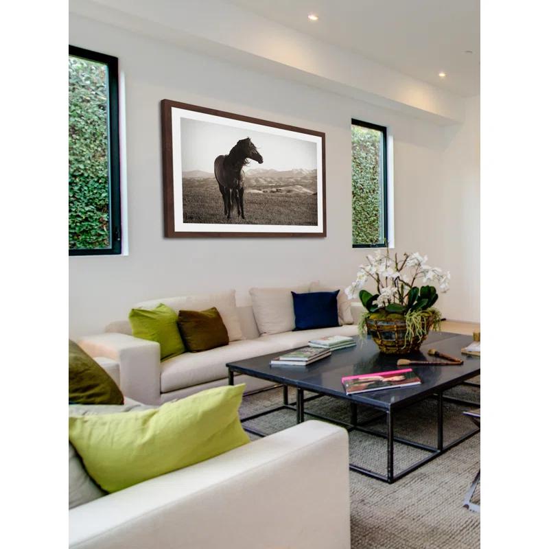 Marmont Hill "Horse in Wind" Framed Print