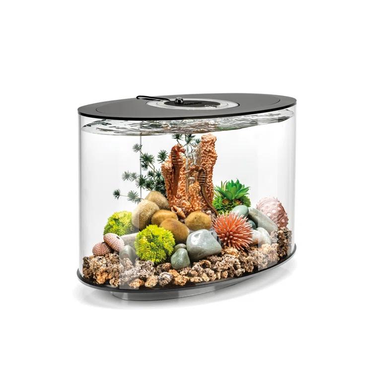biOrb 4 Gallon Oval Aquarium Tank