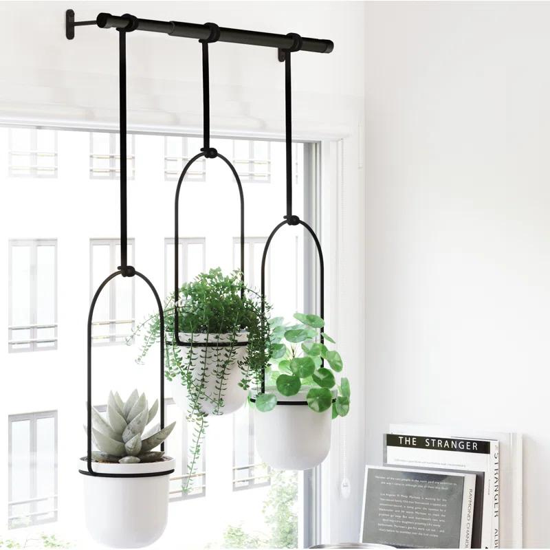 Tri-Flora Hanging Planter