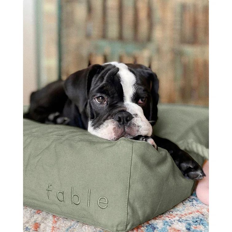 Fable Pets Orthopedic Pet Bed