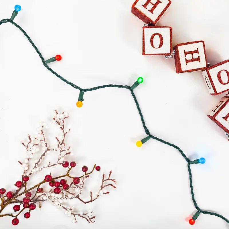 Northlight Seasonal LED G12 Berry Christmas Lights - 16' Green Wire - 50 Ct