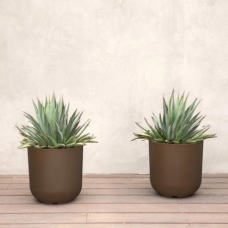 Mason Series Kona Planter