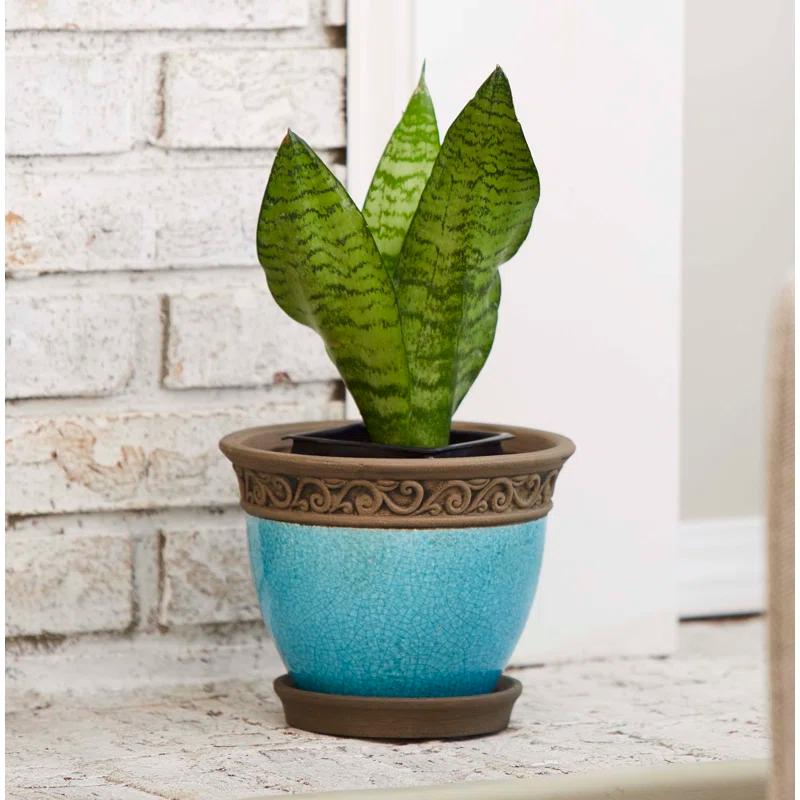 Southern Patio® Cadiz Ceramic Pot Planter with Saucer (Set of 2)