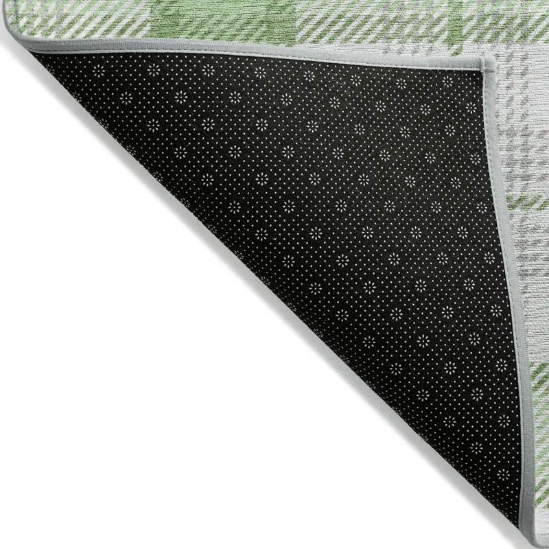Machine Washable Indoor/Outdoor Chayden ACN1052 Mint Rug