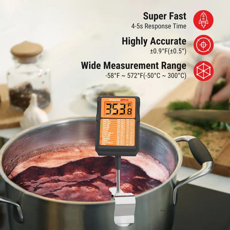 ThermoPro Thermometer | Wayfair
