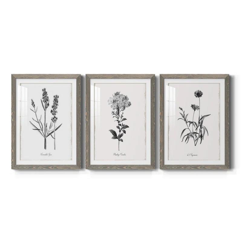 Red Barrel Studio® " Simply Imperial " 3 - Pieces Painting Print