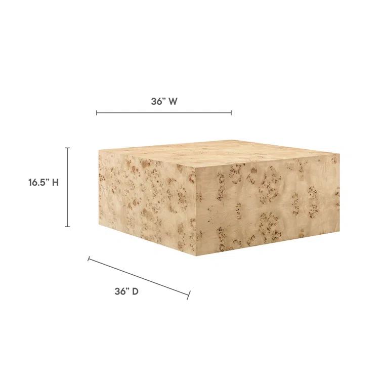 Modway Modway Cosmos 36" Square Burl Wood Coffee Table