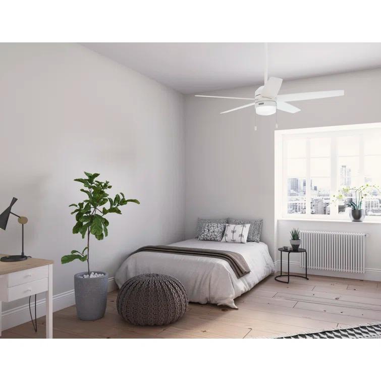Hunter Fan Bardot 52" 5 - Blade Ceiling Fan With Lights and Pull Chains