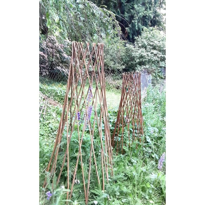 MGP 72'' H x 20'' W Wood Obelisk Trellis
