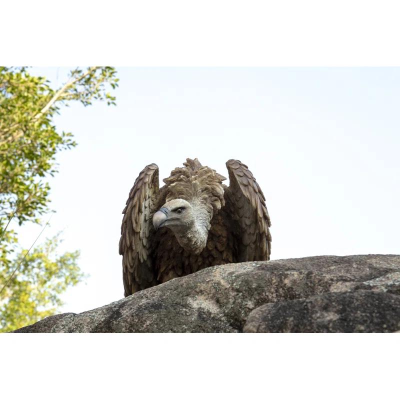 Hi-Line Gift Ltd. Medium Vulture