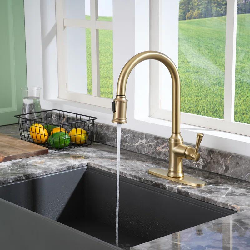 CASAINC 1.8 GPM Single-Handle Pull-Down Kitchen Faucet Single Hole Faucet