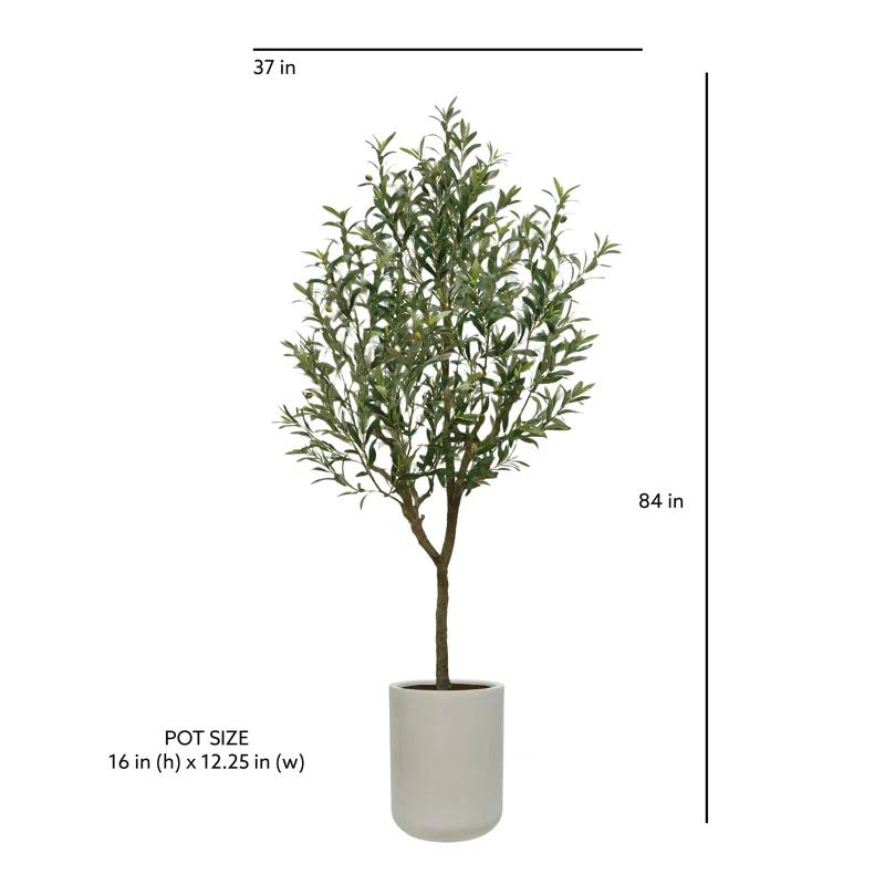 CG Hunter 7FT Olive Tree KD