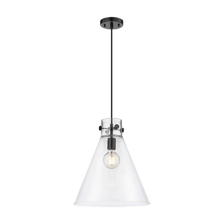 Innovations Lighting Newton 1 - Light Single Drop Pendant Pendant