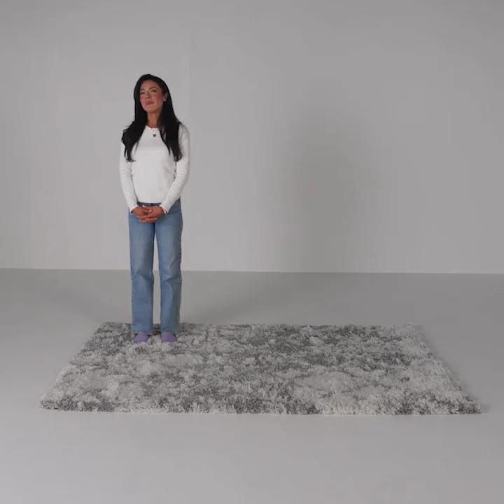 Wade Logan® Dittman Geometric Indoor Rug