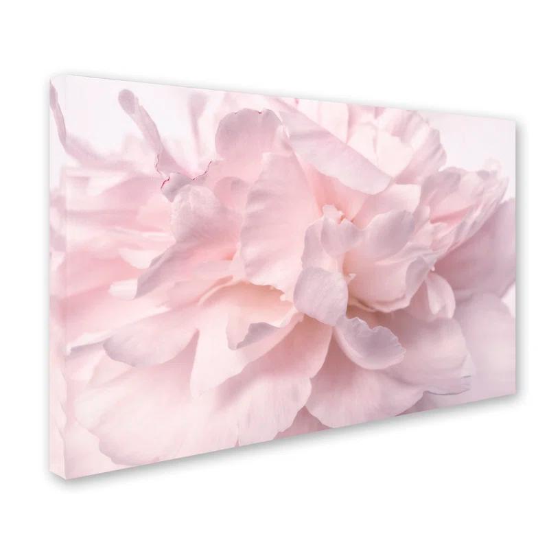 House of Hampton® " Pink Peony Petals II " by Cora Niele