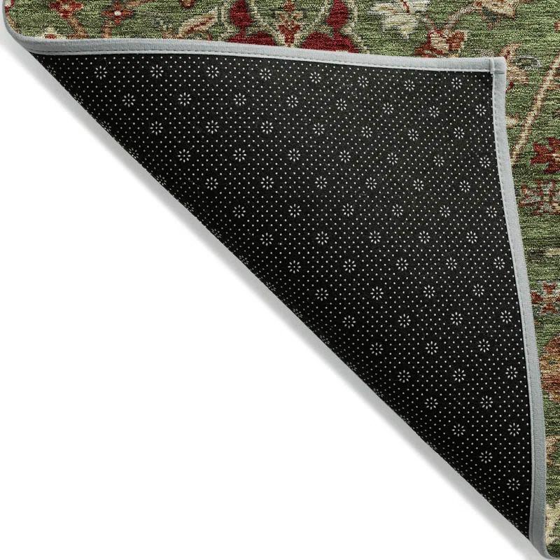 Chayden Area Rug with Non-Slip Backing