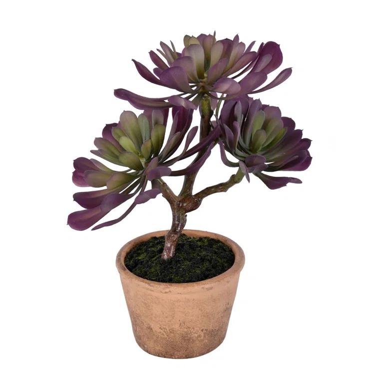 Union Rustic 12'' Faux Succulent in Wicker/Rattan Pot