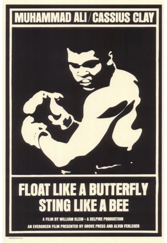 Posterazzi " Float Like A Butterfly Sting Like A Bee Movie Poster "