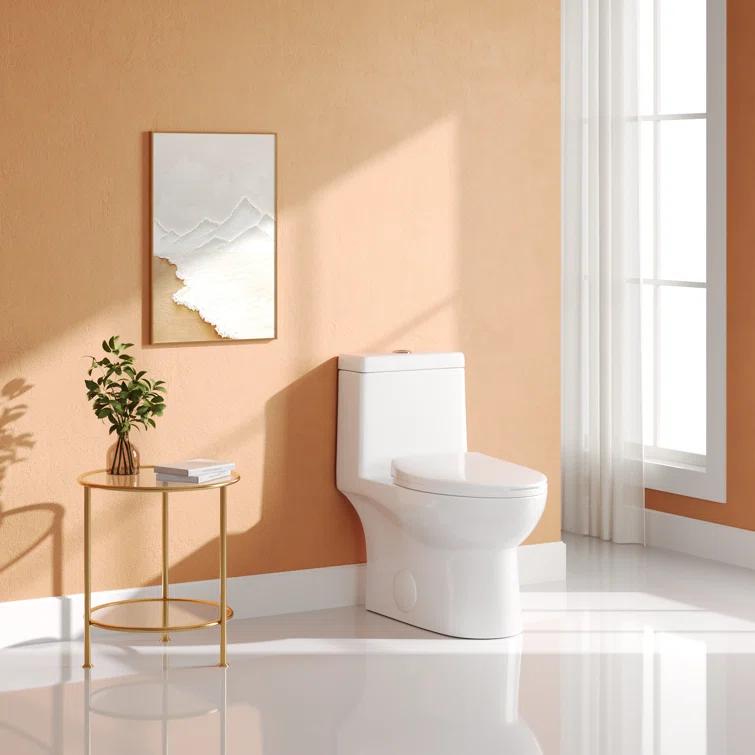 DeerValley Ally Dual-Flush Elongated One-Piece Toilet with Glazed Surface Modern Toilet with Comfort Seat Height  (Seat Included) DV-1F52816