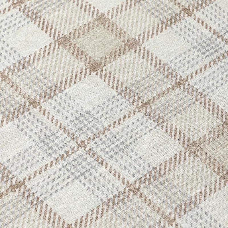 Machine Washable Indoor/Outdoor Chayden ACN1052 Rug