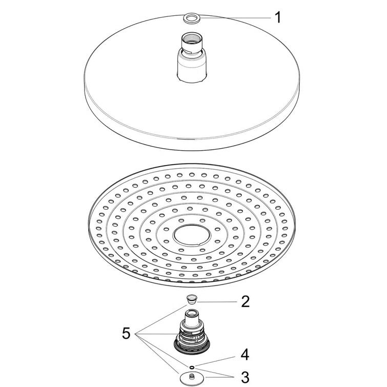 Raindance Select S 240 Showerhead in Chrome