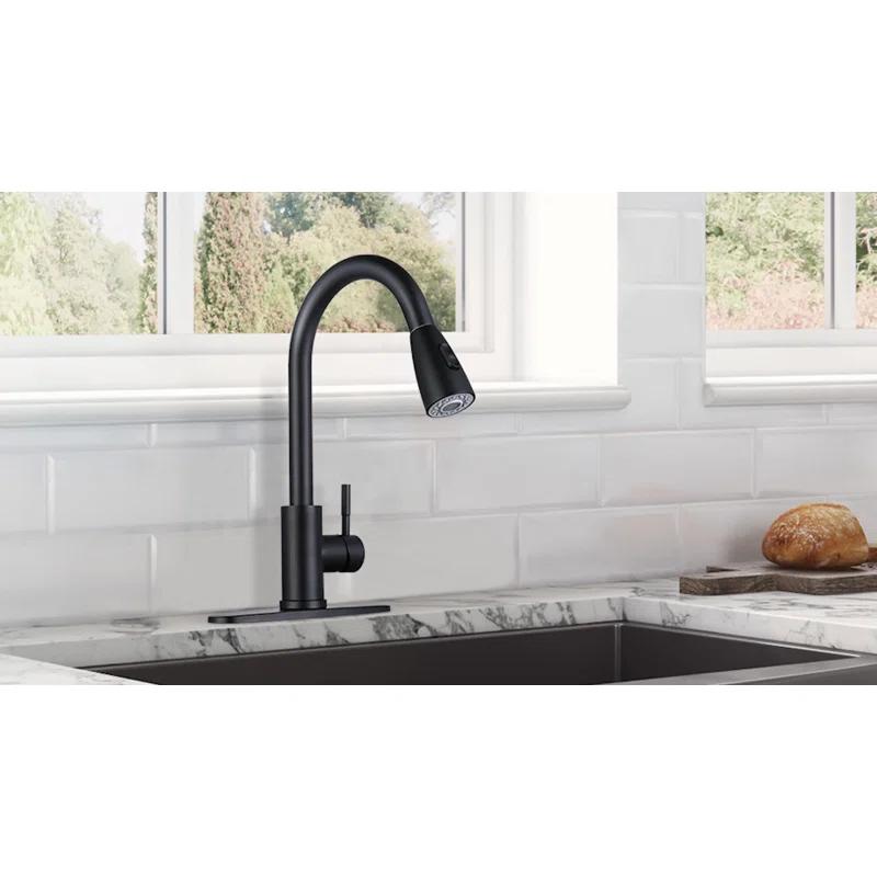 VIBRANTBATH Pull Out Kitchen Faucet