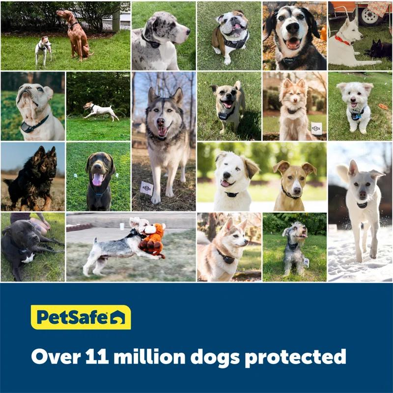 PetSafe® Wireless Fence Pet Containment System